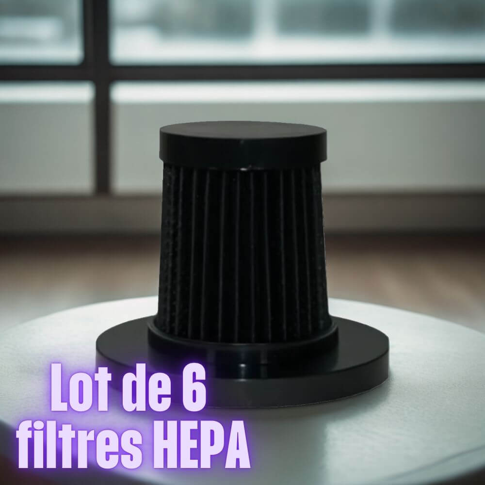 Filtre HEPA lot de 6 pcs – compatible aspirateur anti-acariens